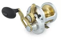 Shimano Talica 1-Speed Lever Drag Conventional Reels -Fish Shop 32382648057945