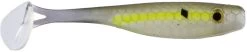 Big Bite Baits Suicide Shad 7 Inch Paddle Tail Swimbait 2 Pack 14 Big Bite Baits Suicide Shad 7 Inch Paddle Tail Swimbait 2 Pack -Fish Shop 7SWTM 04