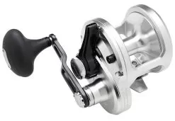 Shimano Talica 20BFC Billfish Concept Lever Drag Conventional Reel