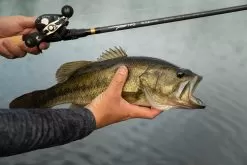 Temple Fork Outfitters Tactical Bass Baitcasting Rods -Fish Shop Tactical Bass Bottom Banner Lifestlye 1 58dad5a5 5cde 4d45 abec 10983a08d6d8