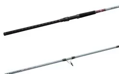 Daiwa Team Daiwa Spinning Surf Rods